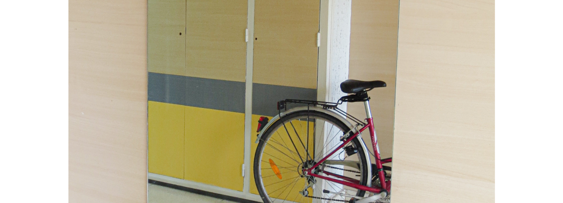 Maple Decowood and Contact