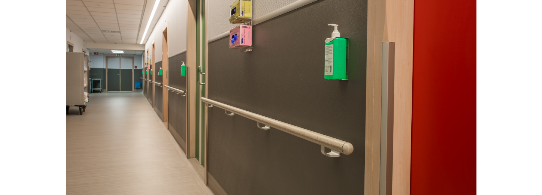 Escort decowood stripped pine