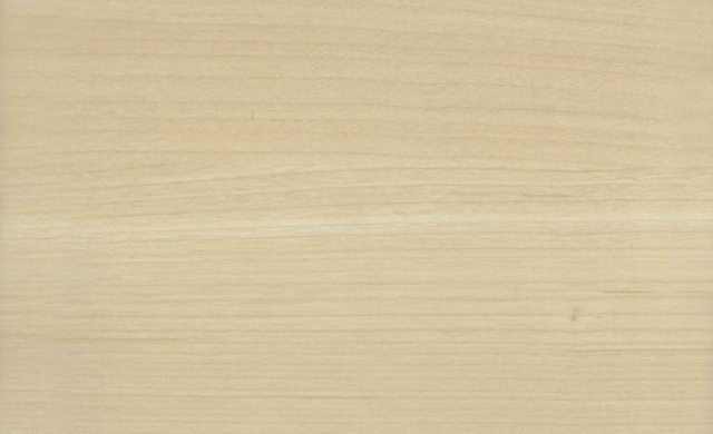 Maple