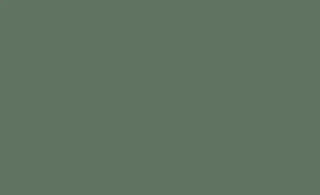 Fern